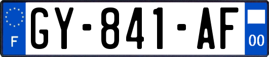 GY-841-AF