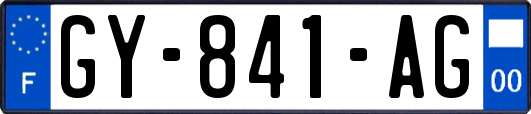 GY-841-AG