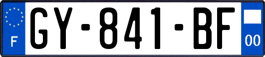GY-841-BF
