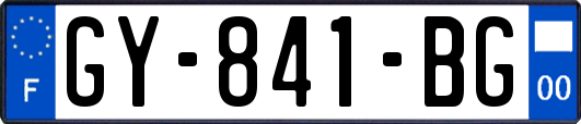 GY-841-BG