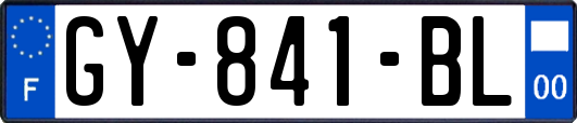 GY-841-BL