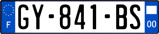 GY-841-BS