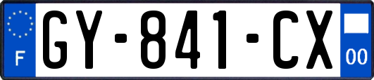 GY-841-CX