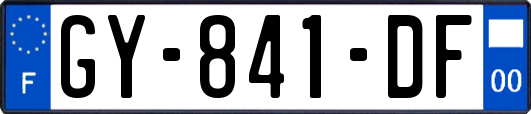 GY-841-DF