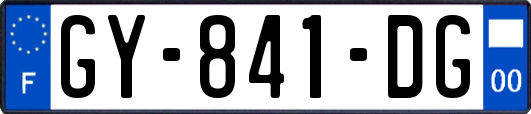 GY-841-DG
