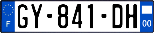GY-841-DH