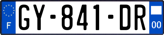GY-841-DR