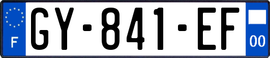 GY-841-EF