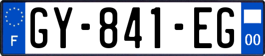 GY-841-EG