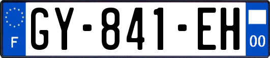 GY-841-EH