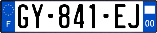 GY-841-EJ