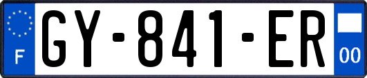 GY-841-ER
