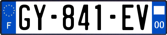GY-841-EV