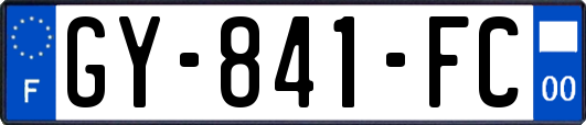 GY-841-FC