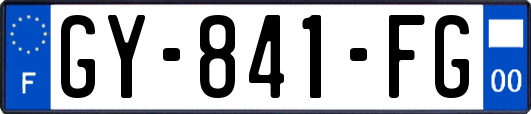 GY-841-FG