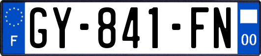 GY-841-FN