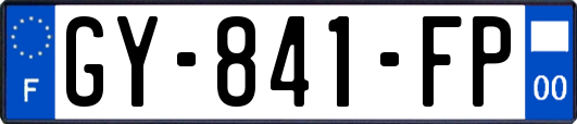 GY-841-FP