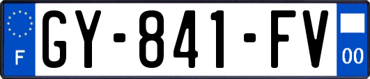 GY-841-FV