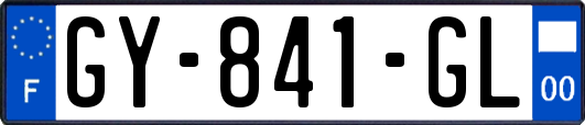 GY-841-GL