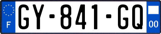 GY-841-GQ