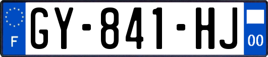 GY-841-HJ