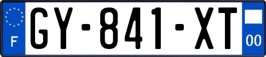 GY-841-XT