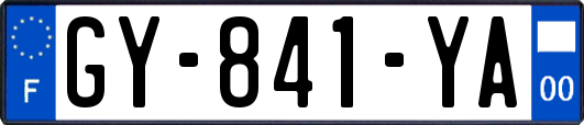 GY-841-YA