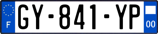 GY-841-YP