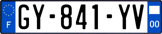 GY-841-YV