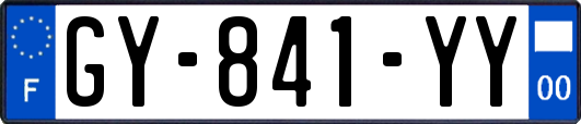 GY-841-YY