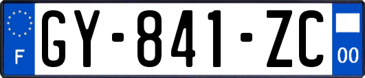 GY-841-ZC
