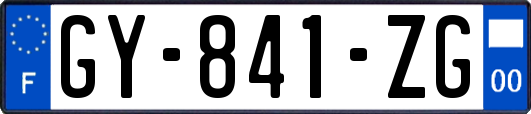 GY-841-ZG
