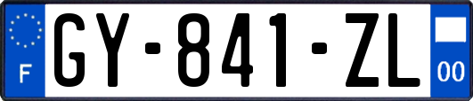 GY-841-ZL