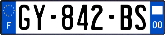 GY-842-BS
