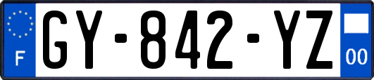 GY-842-YZ