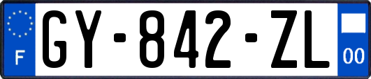 GY-842-ZL