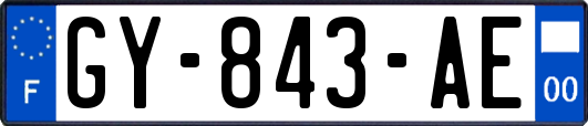 GY-843-AE