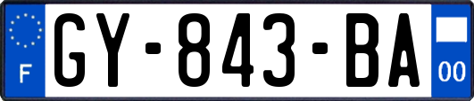GY-843-BA