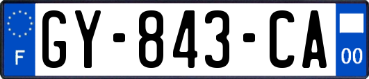GY-843-CA