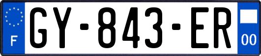 GY-843-ER