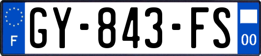 GY-843-FS