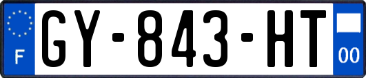 GY-843-HT