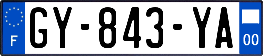 GY-843-YA
