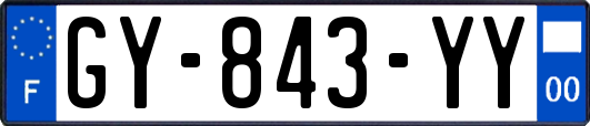 GY-843-YY