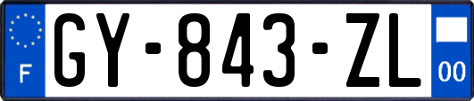GY-843-ZL