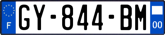 GY-844-BM