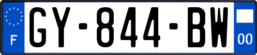 GY-844-BW
