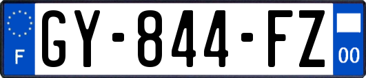 GY-844-FZ