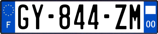 GY-844-ZM