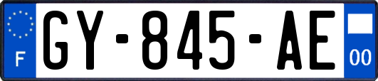 GY-845-AE